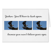 BERTF Bald Eagle Ready to Flee Cards