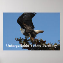 BERTF Bald Eagle Ready to Flee Print