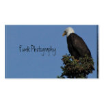 BESHD Bald Eagle Surveys His Domain Business Card Template
