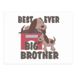 Best Big Brother Ever Post Cards