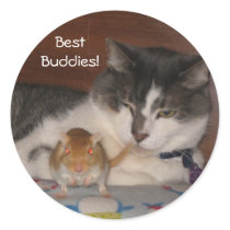 Best Buddies 3" Sticker Sheet