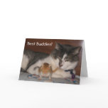 Best Buddies Friendship Card