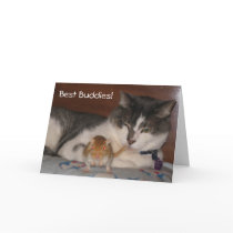 Best Buddies Friendship Card