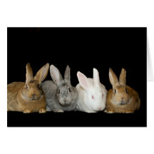 Best Buddies Greeting Cards