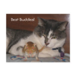 Best Buddies Postcard