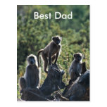 Best Dad Post Cards