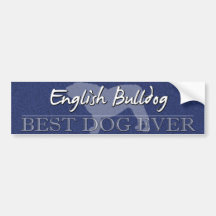 Best Dog English Bulldog Bumper Sticker