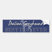 Best Dog Italian Greyhound Bumper Sticker