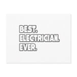 Best Electrician Ever