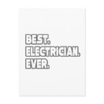 Best Electrician Ever