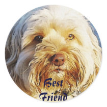 Best Friend Doggie Sticker
