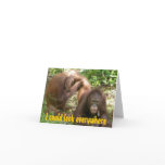 Best Friend Funny  Valentines cards