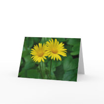 Best Friends Greeting Card