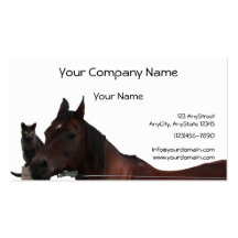 Best Friends Cat and Horse Cuddle Up Business Card