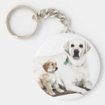 Best friends for life key chains