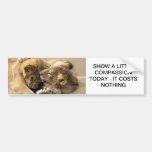 Best Friends Forever Bumper Stickers