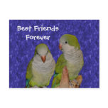 Best Friends Forever Cute Birds Postcard