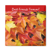 Best Friends Forever! magnet Colourful Fall Leaves