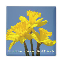 Best Friends Forever magnets Best Friend s
