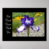 Best Friends Forever Thank You art prints Irises