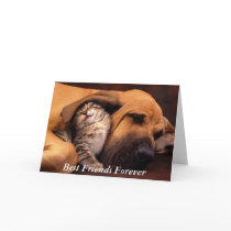Best Friends! Greeting Card