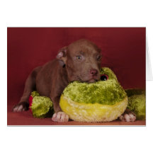 Best friends greeting card