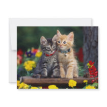 Best Friends Personalized Announcement