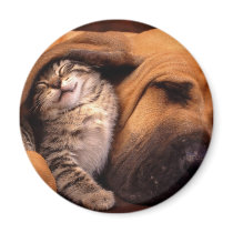 Best Friends!  Magnet