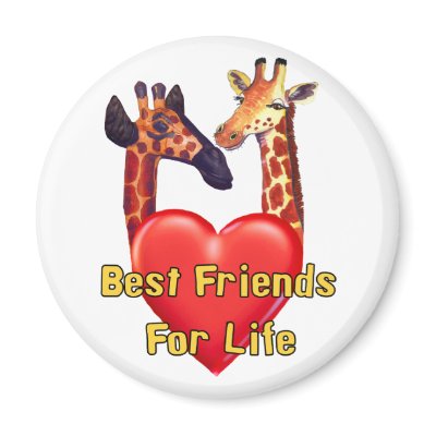 Best Friends Refrigerator Magnet by orsobear