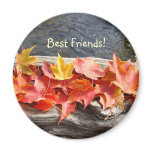 Best Friends! magnet River water Driftwood Leaves