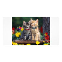 Best Friends Photo Card Template