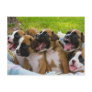 Best Friends Post Cards
