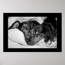 Best Friends Posters