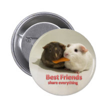 Best Friends share everything Pinback Button