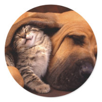 Best Friends! Sticker