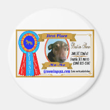 Best in Show Magnet