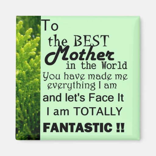 Best Mother In The World Fridge Magnets