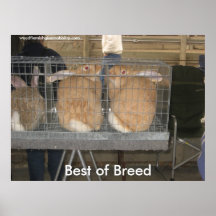 Best of Breed - Customized Print