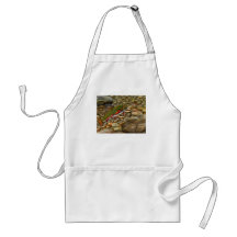 Best of Show 2004 Aprons