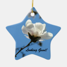 Best Selling Star Ornament gifts Blue Sky Floral
