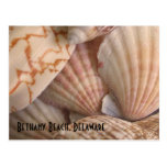 Bethany Beach Postcard