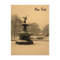 Bethesda Fountain in Winter Postcard