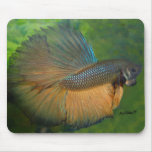 Betta fish mouse pad