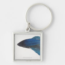 Betta Fish or Male Blue Siamese Fighting Fish Keychains