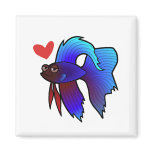 Betta Fish / Siamese Fighting Fish Love
