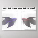 Betta Posters