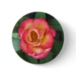 Betty Boop 140 Button