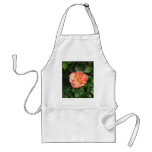 Betty Boop 153 Aprons