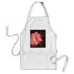 Betty Boop - 24 May 2009 139 Aprons