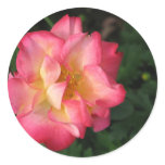 Betty Boop - 24 May 2009 139 Round Sticker